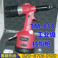 臺灣臺銘TM-818工業級拉帽槍M3-M12